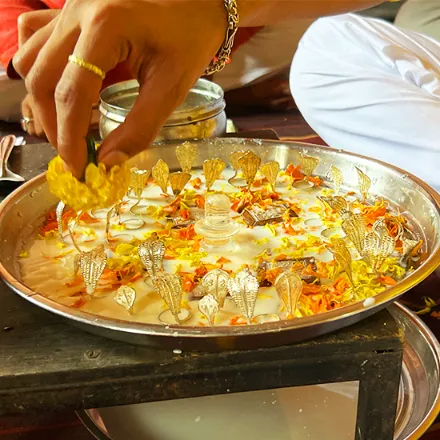 कालसर्प दोष निवारण पूजा त्र्यंबकेश्वर