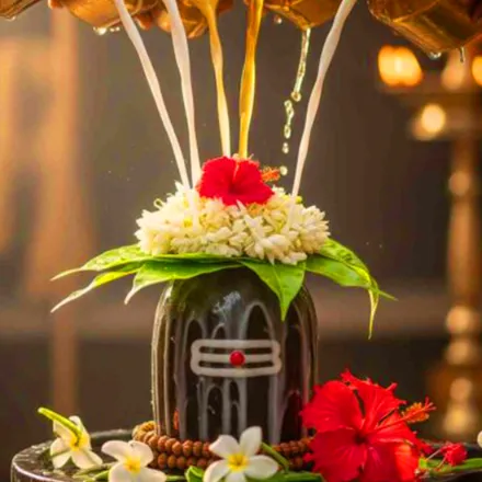 रुद्राभिषेक पूजा त्र्यंबकेश्वर